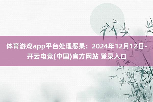 体育游戏app平台处理恶果：2024年12月12日-开云电竞(中国)官方网站 登录入口